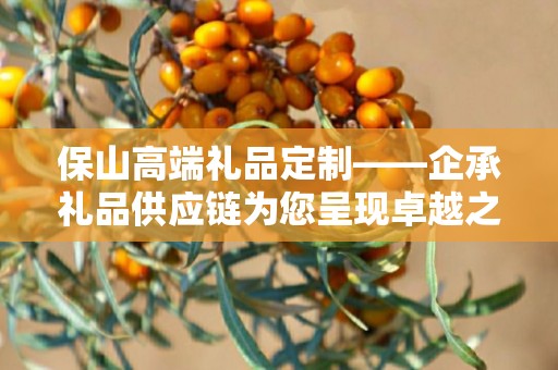 保山高端礼品定制——企承礼品供应链为您呈现卓越之选